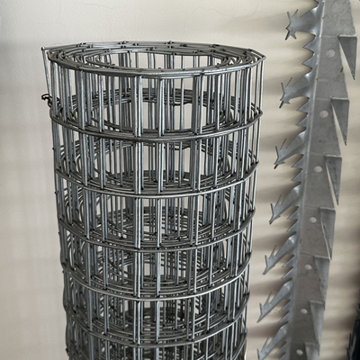 Hot Dipped Galvanized Welded Wire Mesh BWG14-BWG24 for Animal Cage