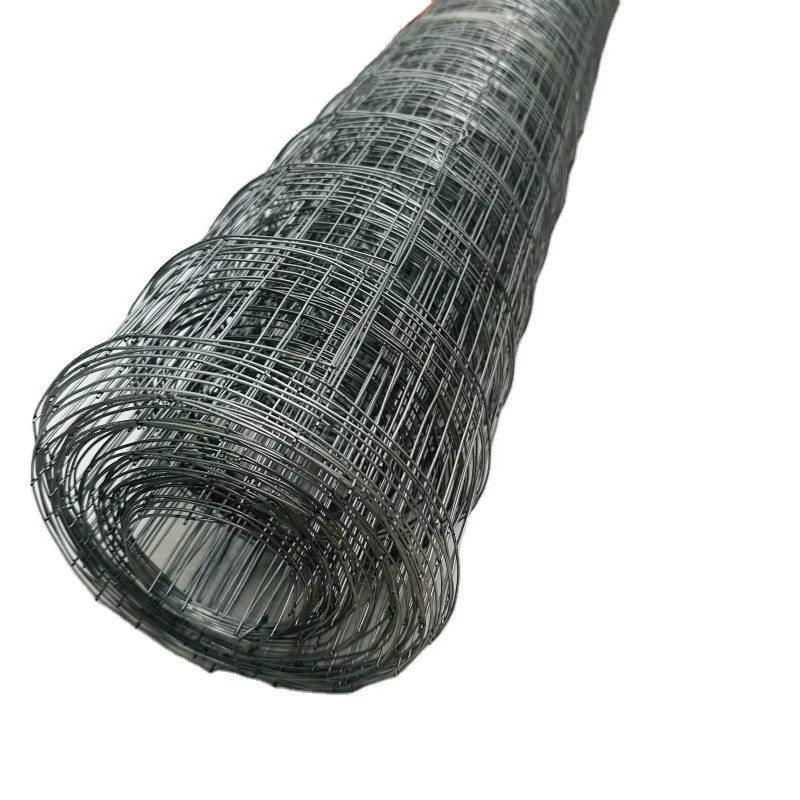 Hot Dipped Galvanized Welded Wire Mesh BWG14-BWG24 for Animal Cage