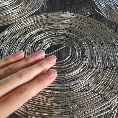 Aisi 304 Stainless Steel Welded Wire Mesh Rolls For Protective Netting
